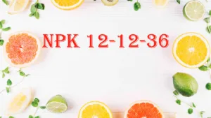 NPK یا کود ۱۲ ۱۲ ۳۶ برای چه گیاهانی مناسب است؟